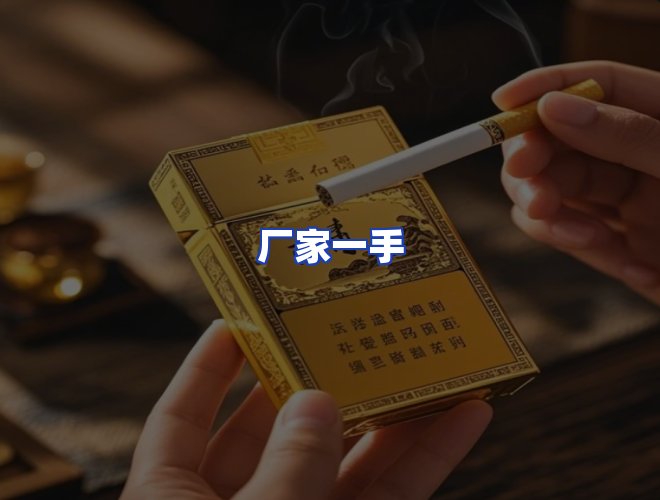 专业团队